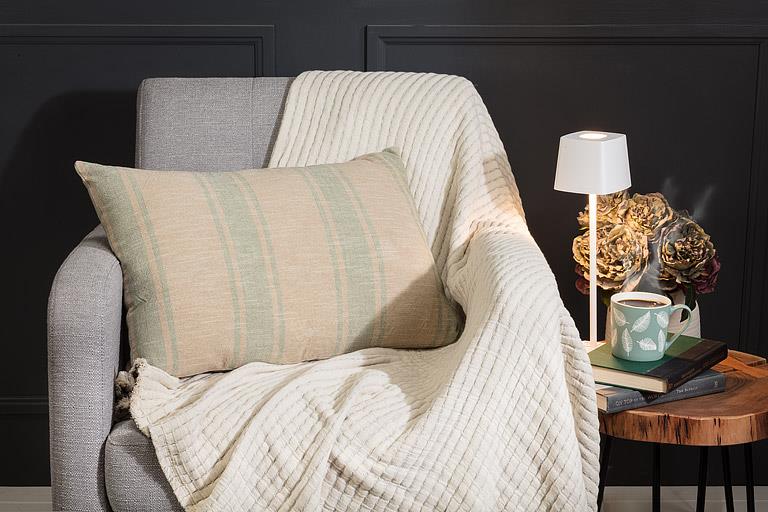 Ticking Stripe Cushion