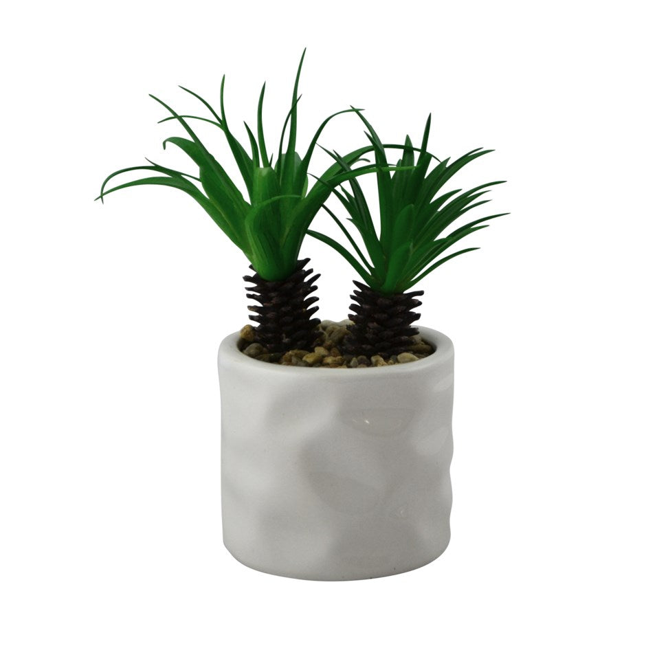 MINI PALM TREE WHITE POT
