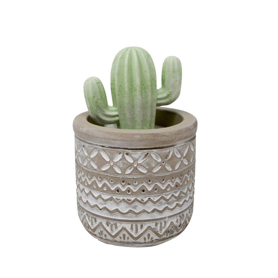 CACTUS SAGUARO