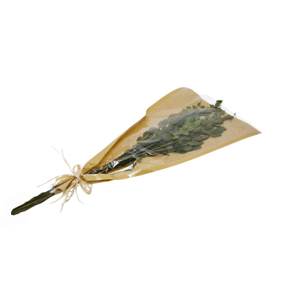 BUNCH DRIED GREEN GRASS