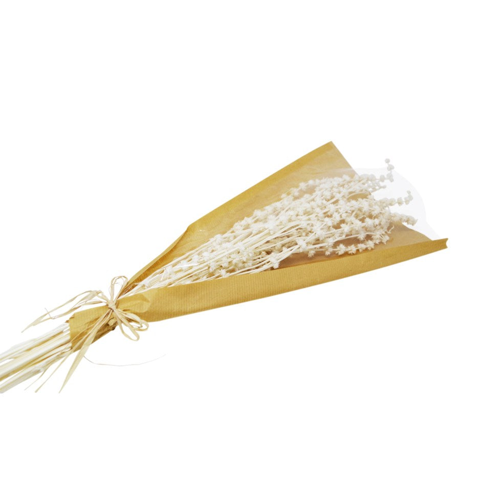BUNCH OF DRIED WHITE GRASS