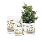 Large Hummingbirds Planter