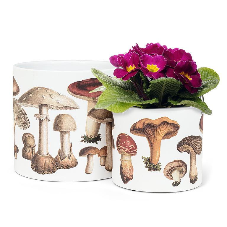 Large Botanical Mushroom Planter
