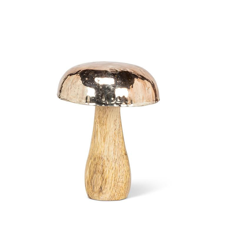 Small Mushroom with Silver Cap