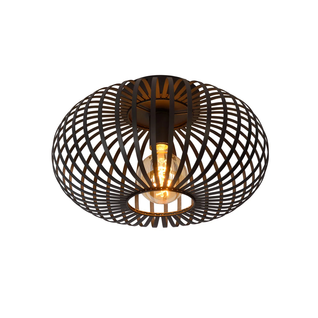 Ivy Ceiling Light