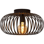 Ivy Ceiling Light
