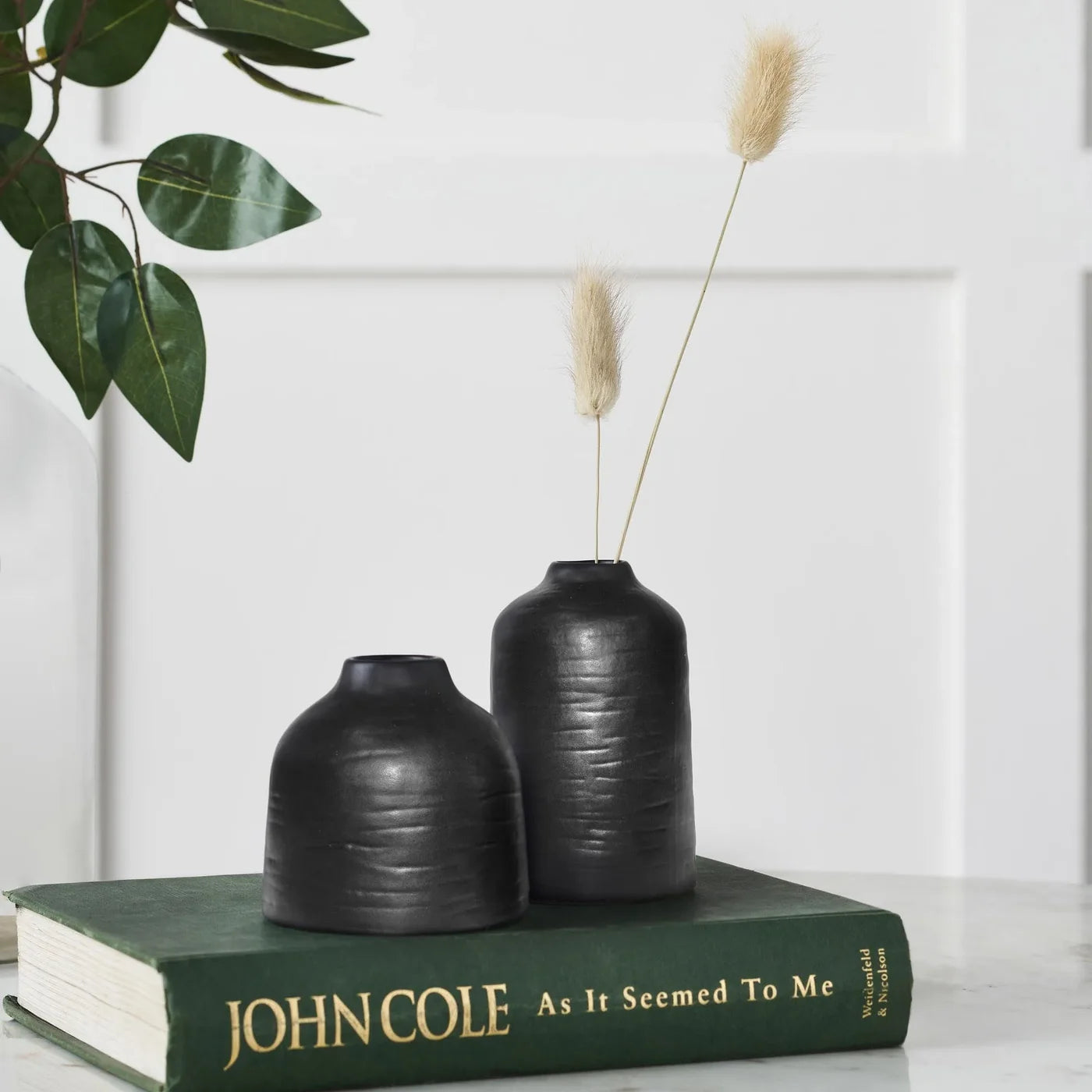 Forio  2-Piece Satin Black Vase Set