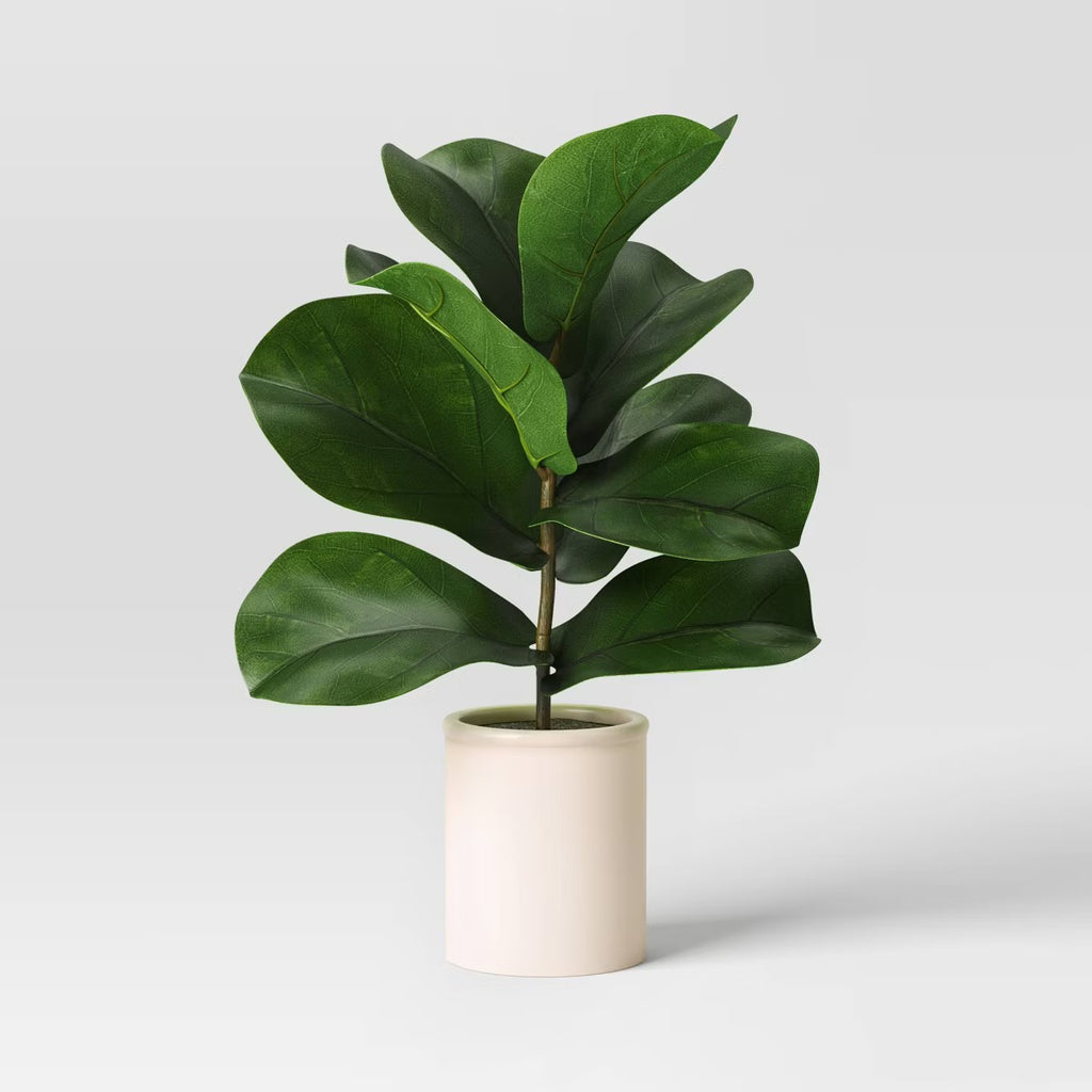 Fiddle Leaf Potted Plant Small - Threshold