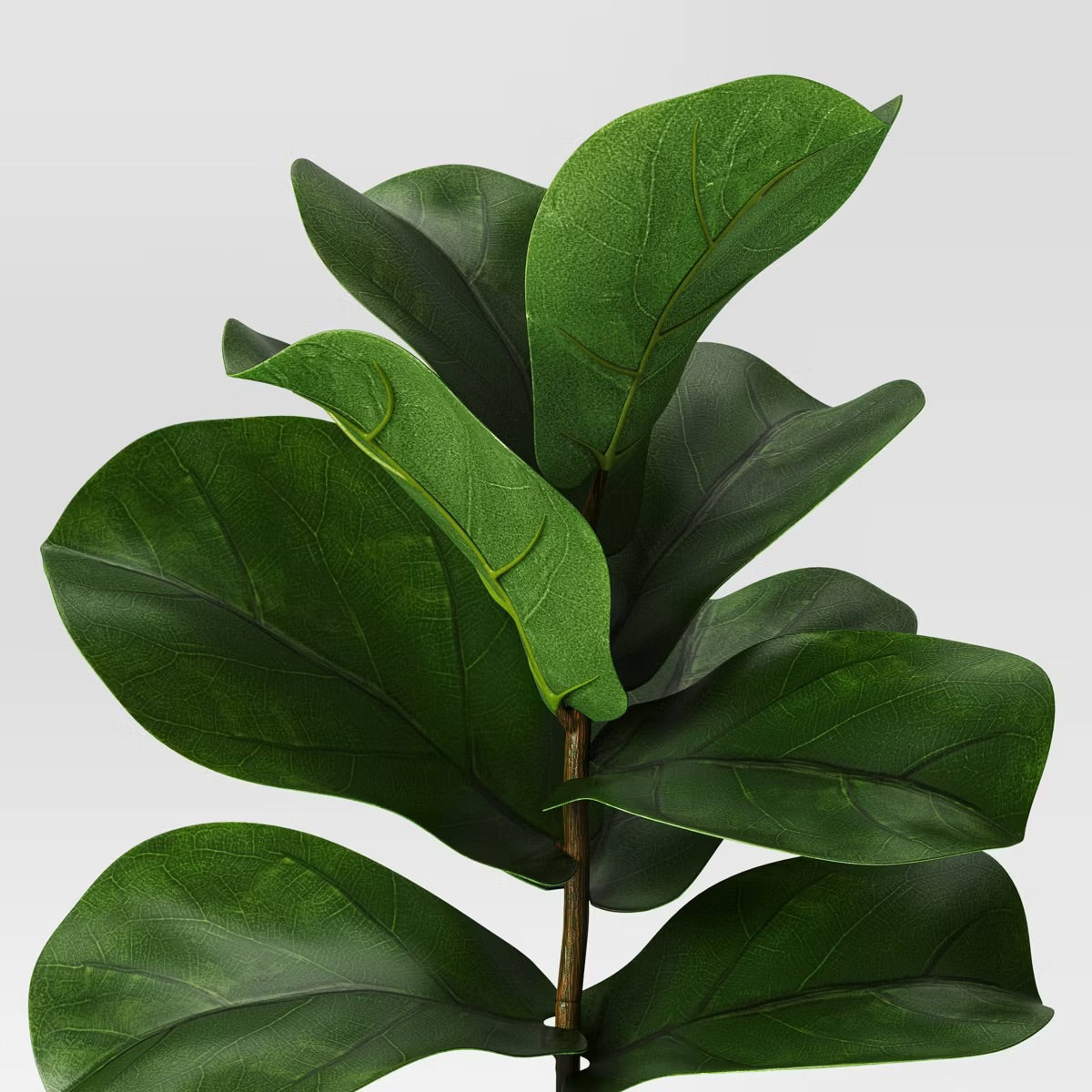 Fiddle Leaf Potted Plant Small - Threshold