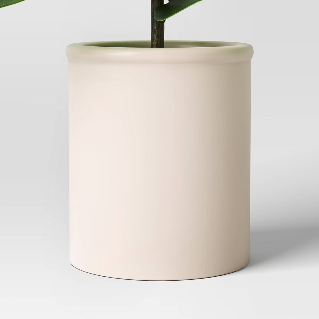 Fiddle Leaf Potted Plant Small - Threshold