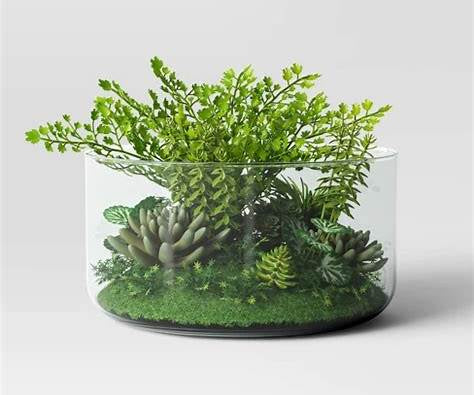 Large Clear Glass Terrarium - Threshold