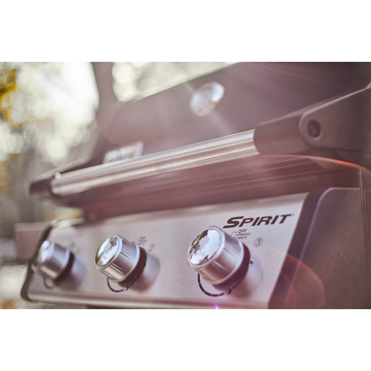 Weber Spirit E-315 LP Black