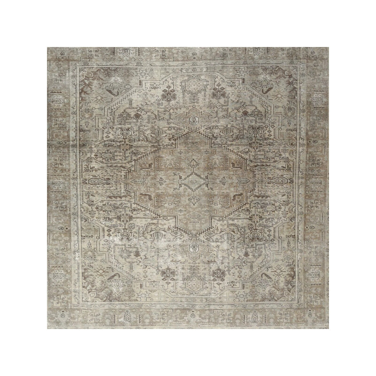 8 x 10 - Ashmont Oriental Rug