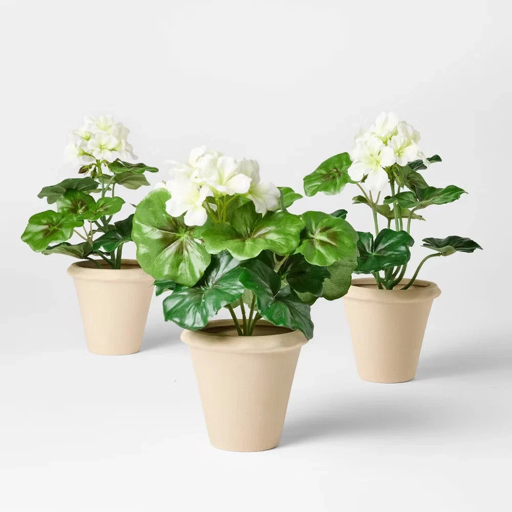Set of 3 Geranium Potted Arrangements - Threshold designed with Studio McGee
