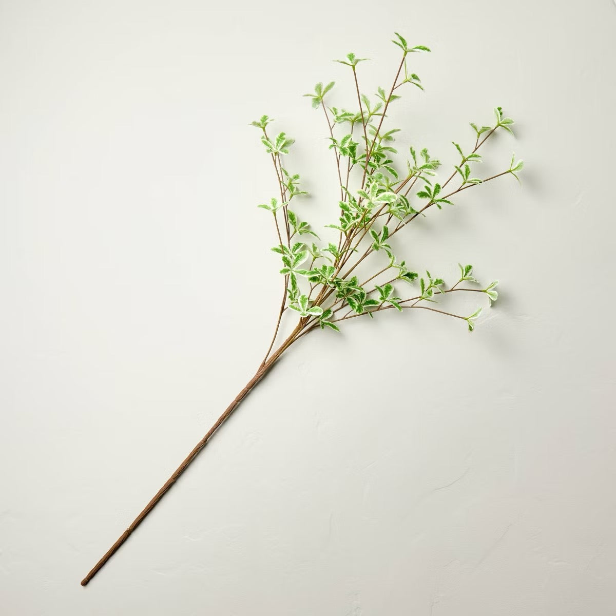 36" Faux Variegated Terminalia Leaf Branch